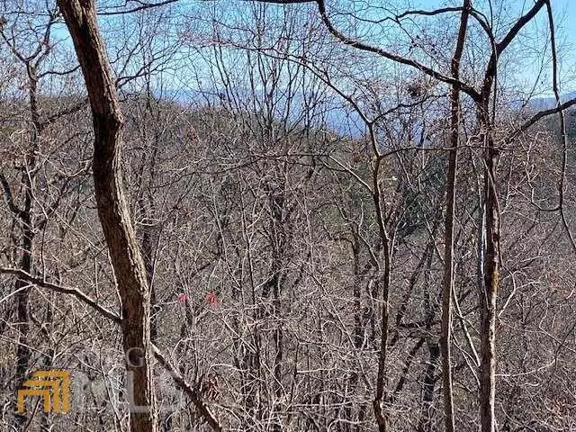 Blue Ridge, GA 30513,LT 5 Sunrock Mountain TRCE #5