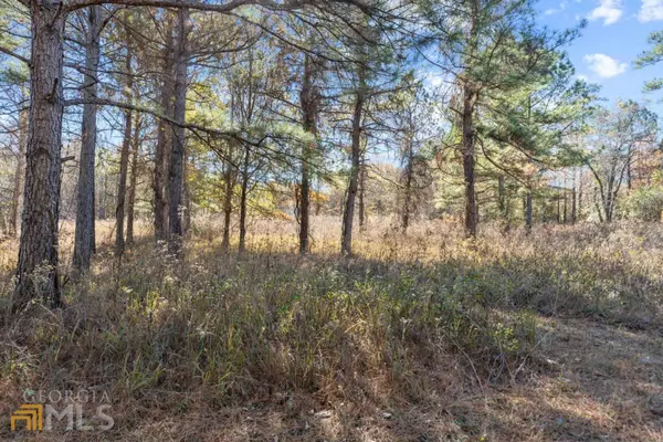 Milledgeville, GA 31061,TRACT B1 W Hwy 49