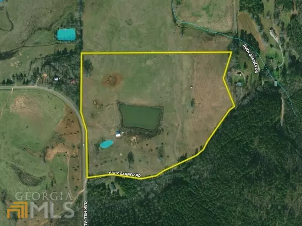 Menlo, GA 30731,45 ACRES ON Buck Gardner RD