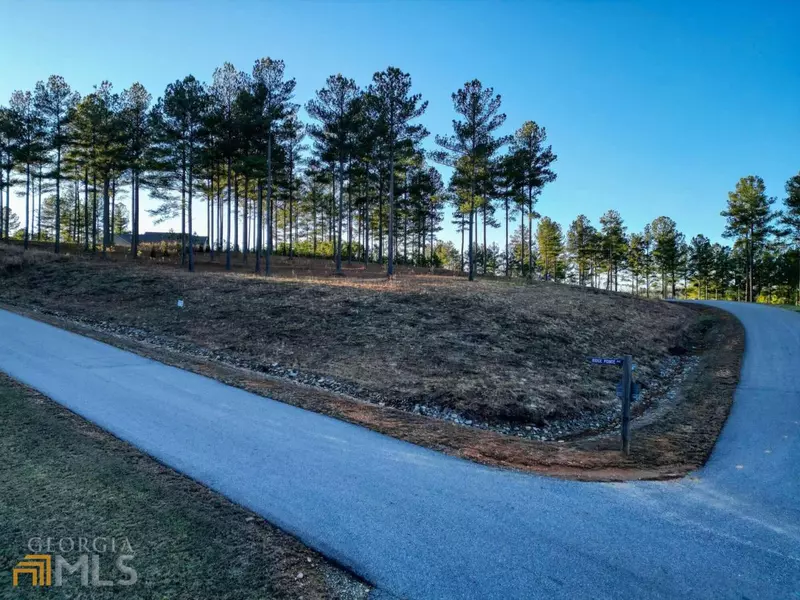 LOT 291 Thirteen Hundred, Blairsville, GA 30512