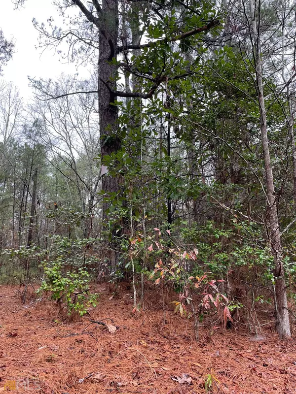 Pine Mountain, GA 31822,00 Chipley