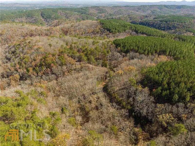 Ranger, GA 30734,11 Brite CT