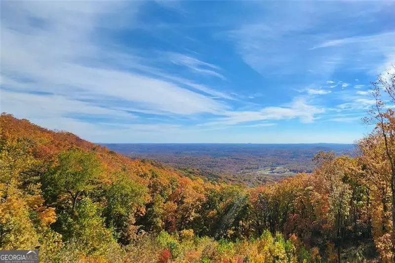 228 Stone Cliff TRCE, Cleveland, GA 30528