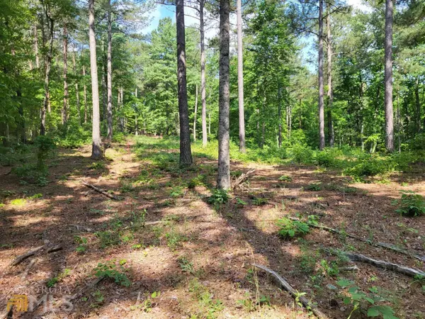 Dahlonega, GA 30533,0 River Highlands RD