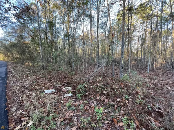 Rincon, GA 31326,0 Rincon Stillwell RD