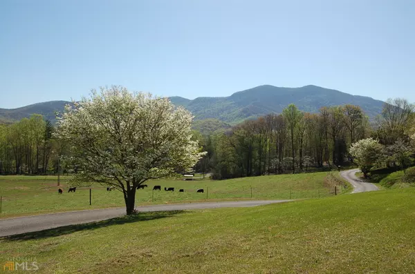 Hiawassee, GA 30546,2663 Penland RD