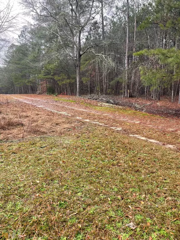 Temple, GA 30179,1388 Mcbrayer RD