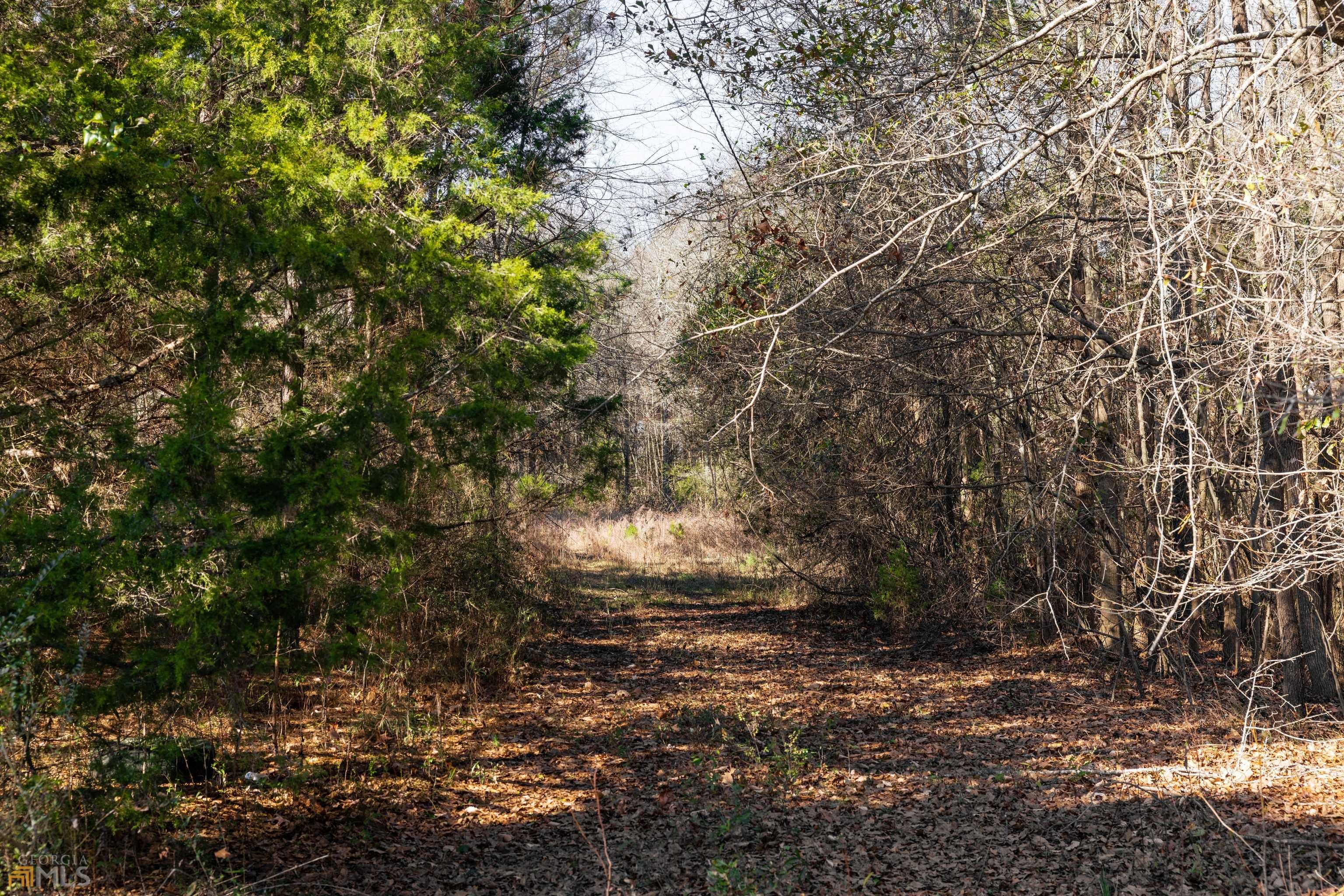 Bowman, GA 30624,0 Five Forks RD
