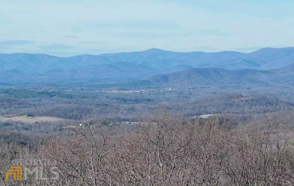 Ellijay, GA 30536,95 Northland TRL