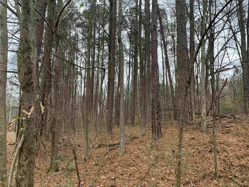 4565 Cowan RD, Acworth, GA 30101