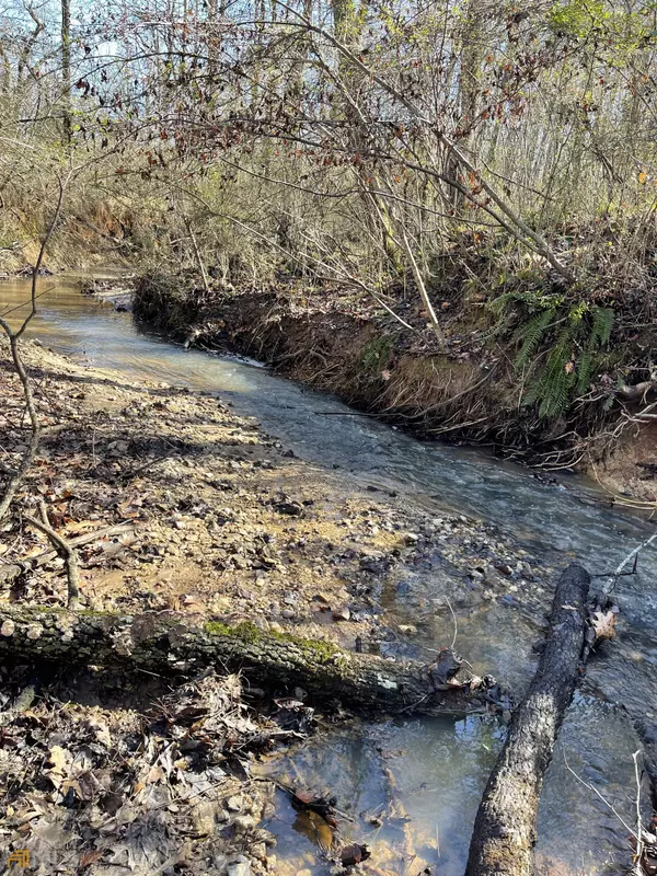 Hampton, GA 30228,1178 N Pomona RD