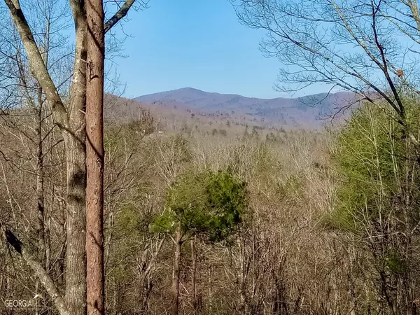 Blue Ridge, GA 30513,284 Aska Springs RD