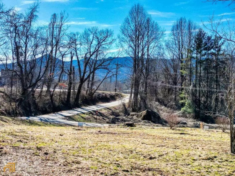 154 Chastain ST, Hiawassee, GA 30546