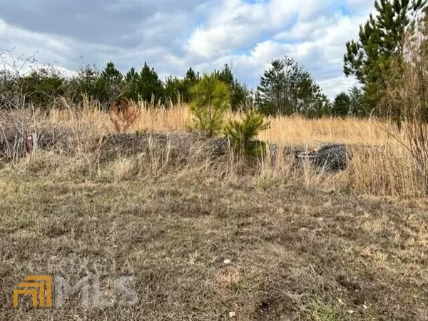 Fairmount, GA 30139,LOT107 Pinto LN