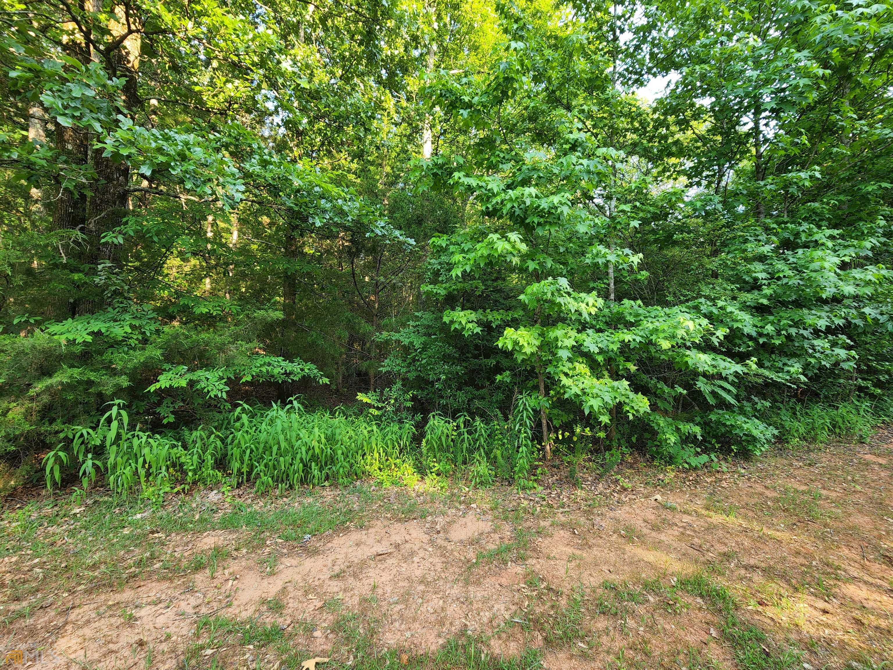 Jackson, GA 30233,0 Panther LN #56