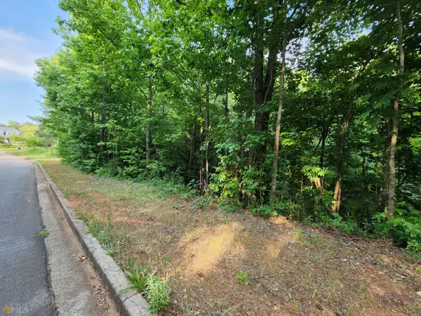 Jackson, GA 30233,0 Panther LN #56