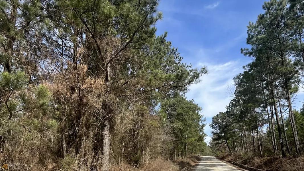 0 Barnes Mountain RD, Mansfield, GA 30055