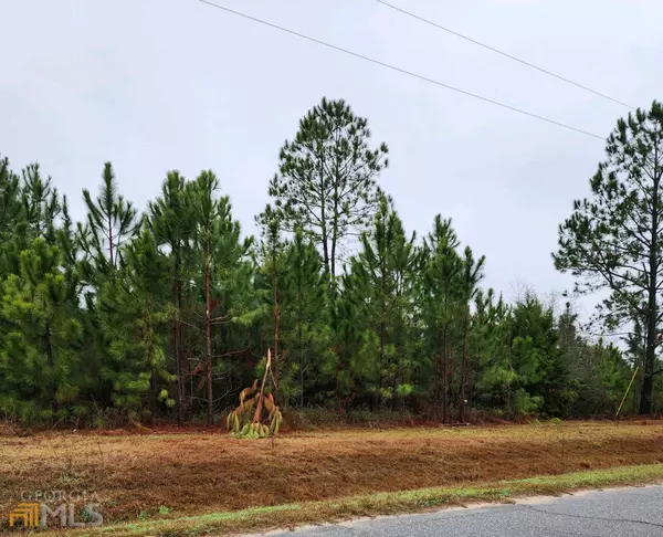 Ray City, GA 31645,0 0