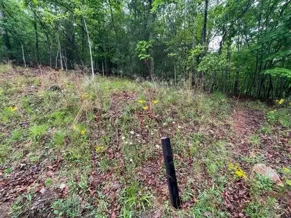 Ellijay, GA 30540,L1024 Gateway DR