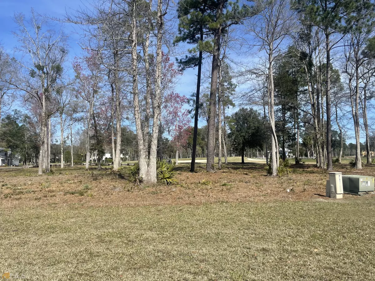 Waverly, GA 31565,LOT 24 Audubon Wynd