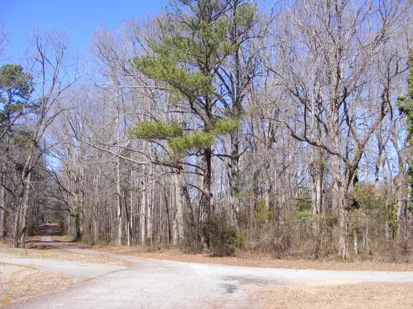 Senoia, GA 30276,0 Tranquil Cemetery RD