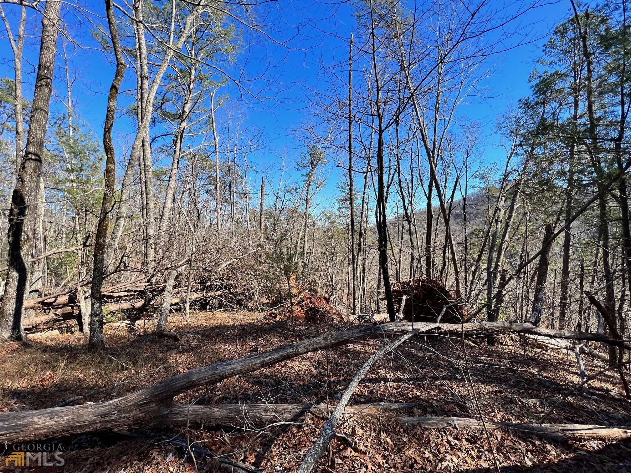 Clayton, GA 30525,0 Mattie McCall LN