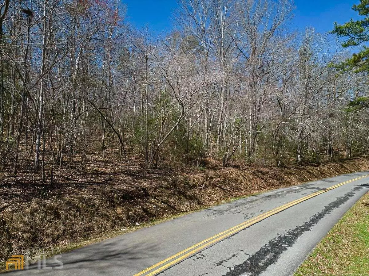 Mineral Bluff, GA 30559,16 AC Wolf Creek