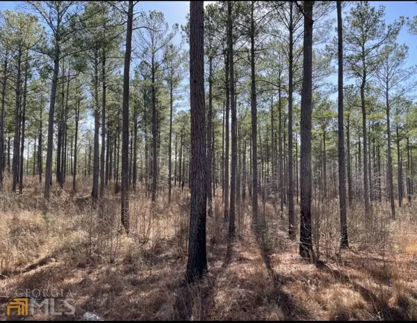 Whitesburg, GA 30185,LOT 3 Black Dirt