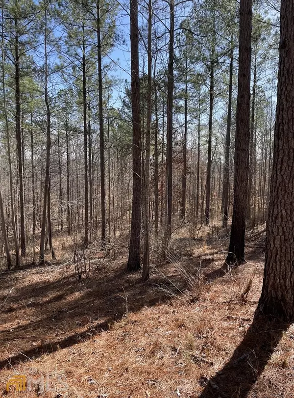 Whitesburg, GA 30185,LOT 3 Black Dirt