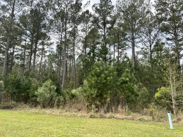 Kingsland, GA 31548,0 Breakwater LOOP