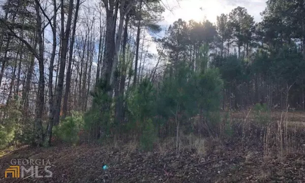 Blairsville, GA 30512,0 The Hills At Queens Gap #LOT 63