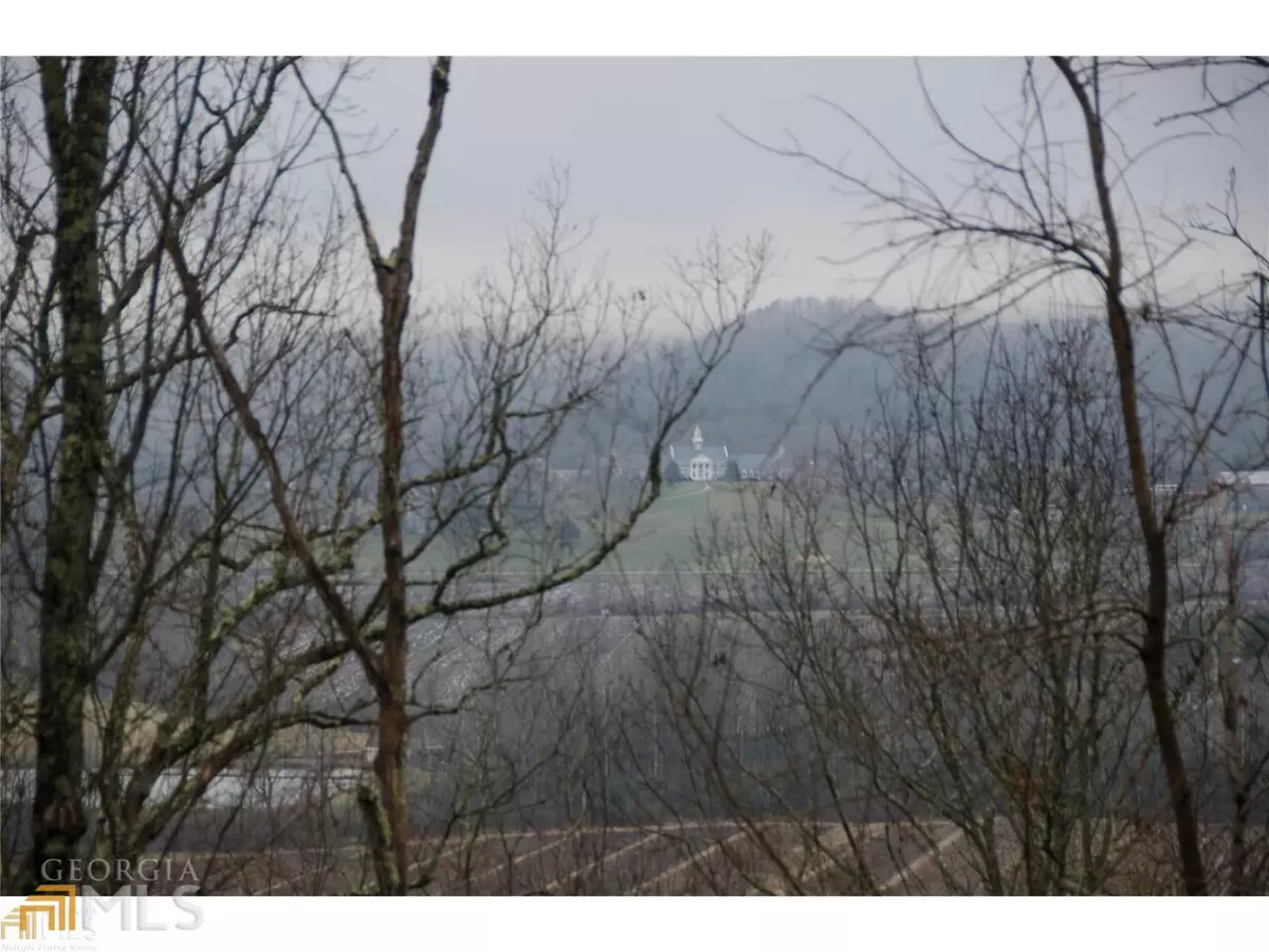 Rabun Gap, GA 30568,0 Winter CT #35
