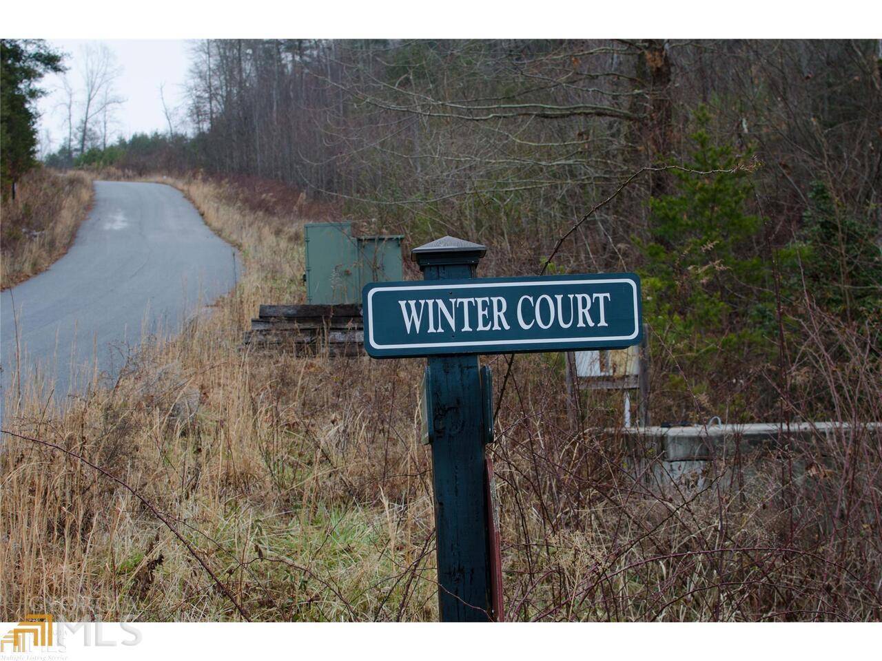 Rabun Gap, GA 30568,0 Winter CT #35