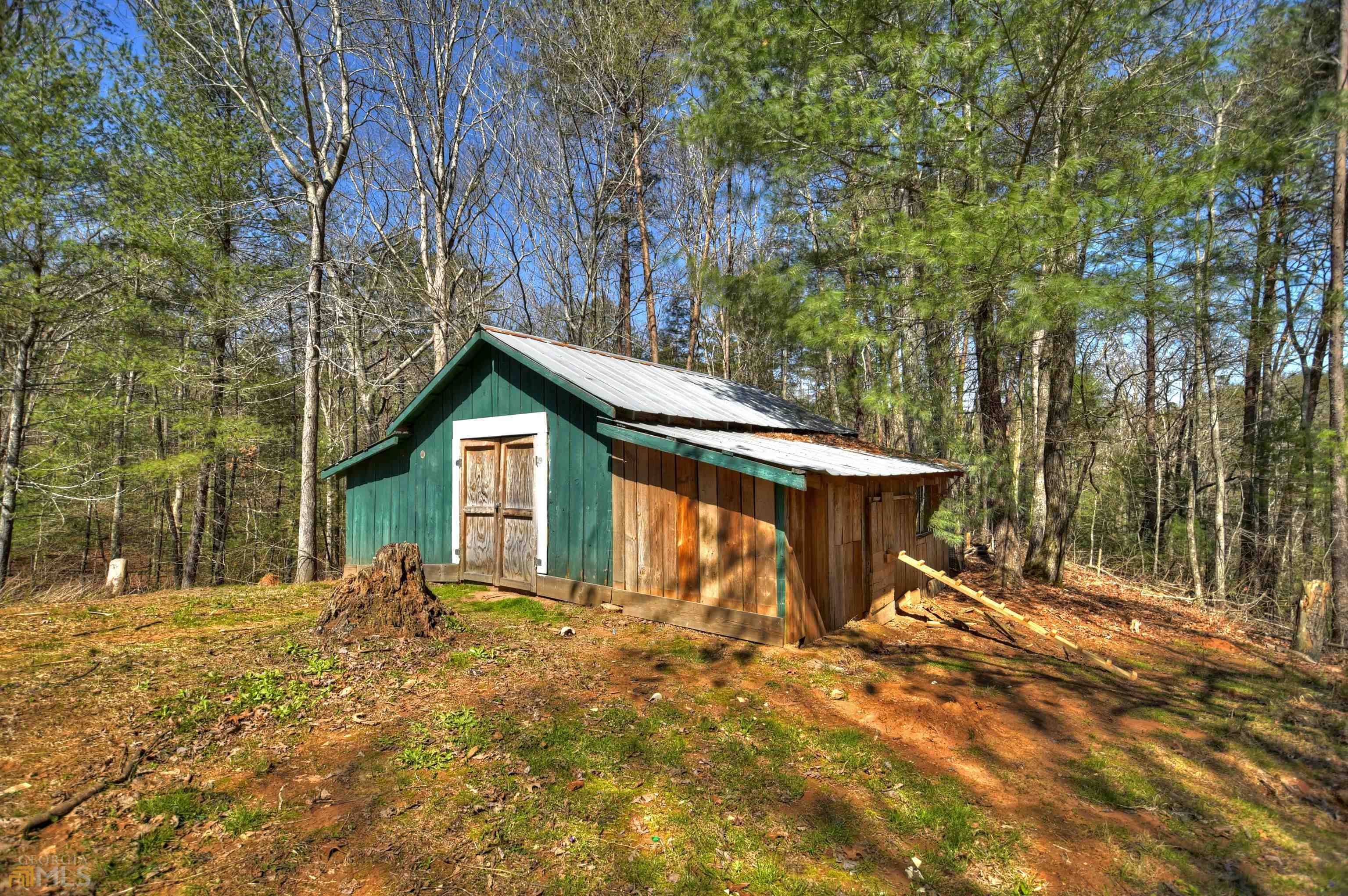 Ellijay, GA 30540,135 Adrian CT