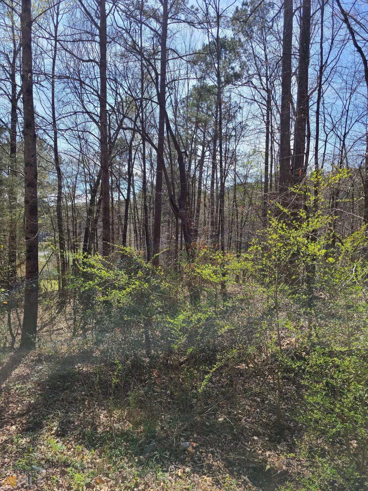 Grantville, GA 30220,LOT 1D Holtzclaw