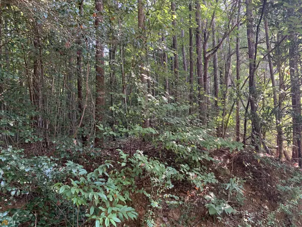 Toccoa, GA 30577,5.10 ACRES Hwy 123