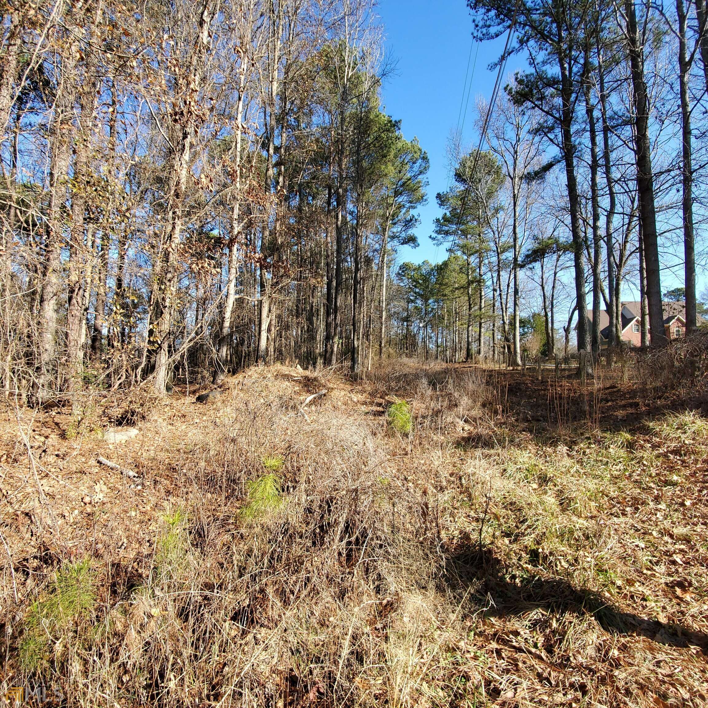 4796 Amsler RD, Ellenwood, GA 30294