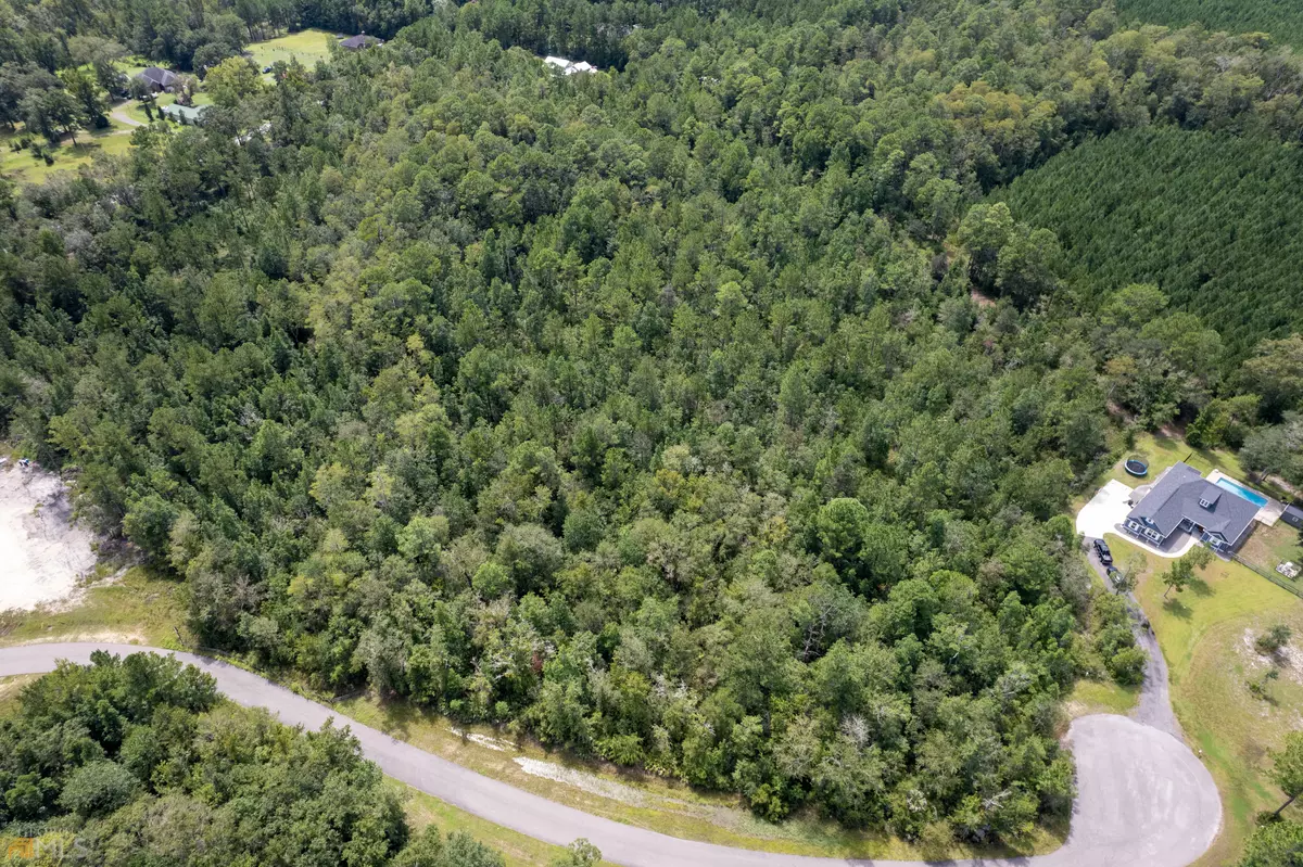 Kingsland, GA 31548,LOT #6 Headwaters CT