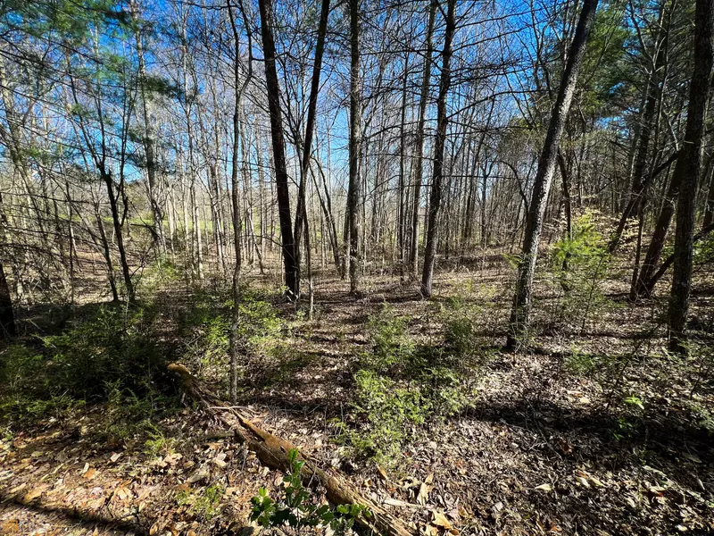 LOT 36 Arden Acres Lot 36, Blairsville, GA 30512