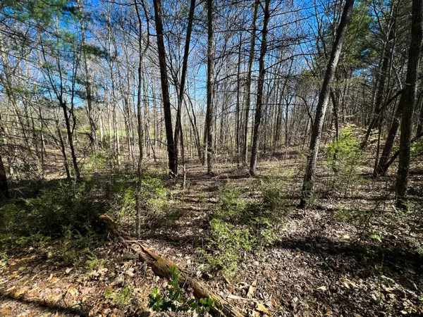 Blairsville, GA 30512,LOT 36 Arden Acres Lot 36