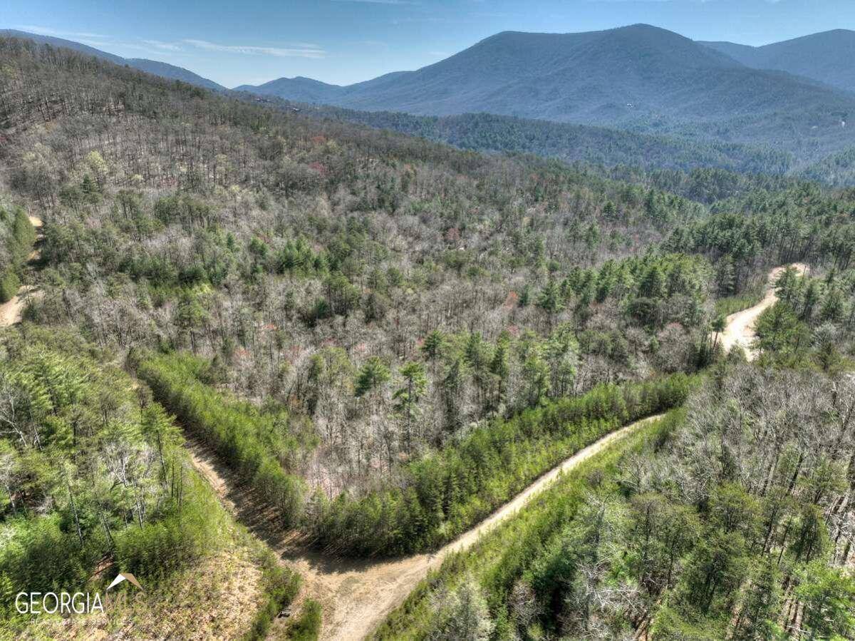Cherry Log, GA 30522,1200 Cherry Log ST