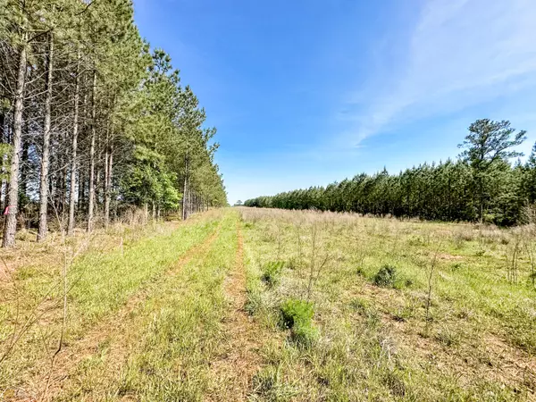 Monticello, GA 31064,TRACT 5 Goolsby RD #12 ACRES