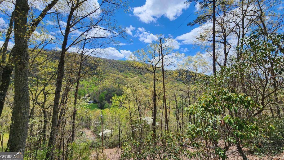 0 Pineview Rd/off 1346, Franklin, NC 28734