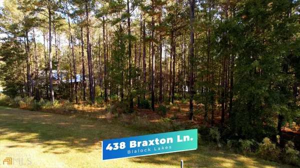 Newnan, GA 30263,0 Braxton