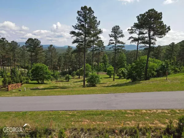 Blairsville, GA 30512,LOT 243 Thirteen Hundred