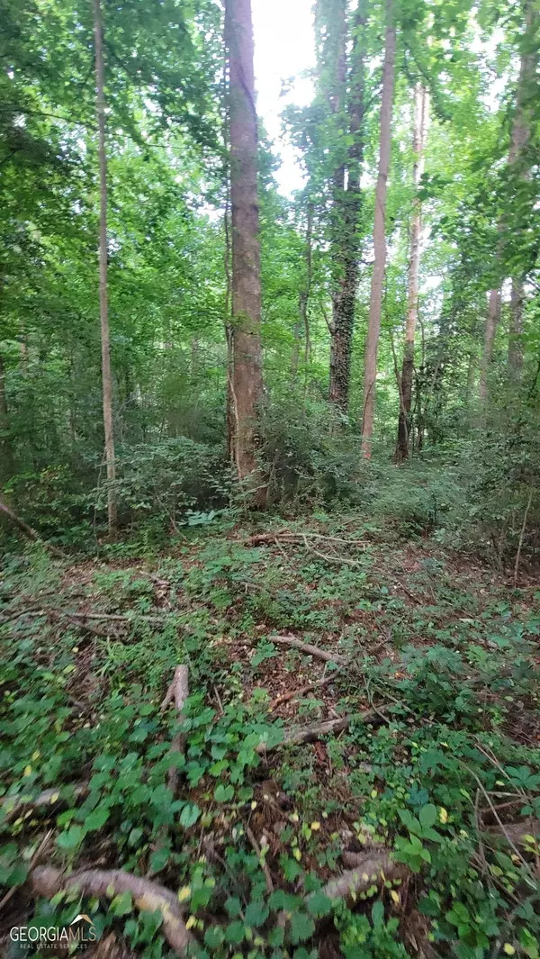 Lavonia, GA 30553,LOT 53 Lewis DR