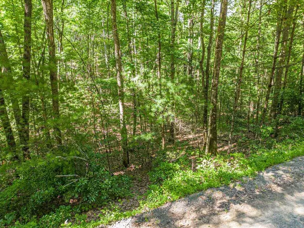 Mineral Bluff, GA 30559,LT 12 Hickory