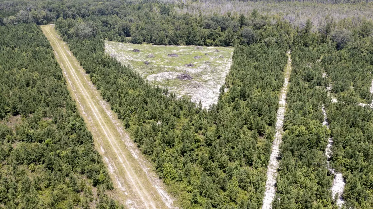 Kingsland, GA 31548,0 WEST SIDE OF OAKWELL RD #V/L TRACT 15