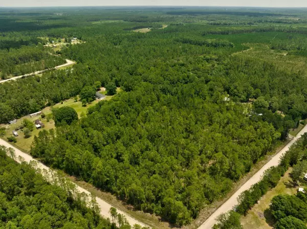 LOT 2 Blackwater, St. George, GA 31562