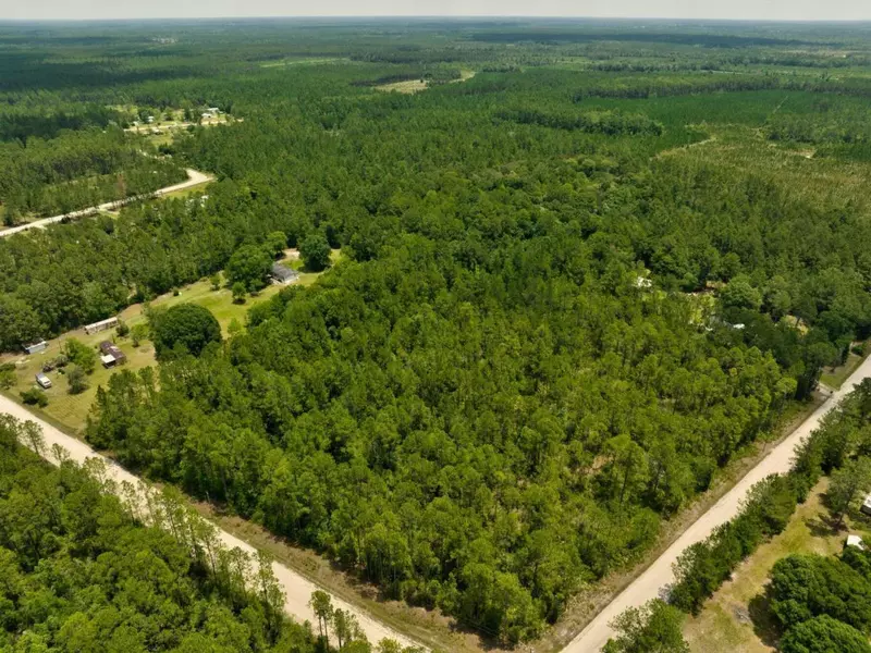 LOT 3 Bear Claw, St. George, GA 31562